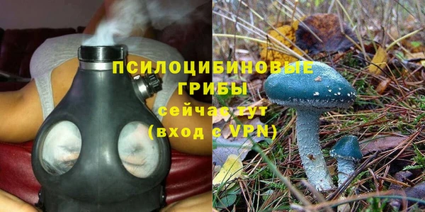 стаф Алексеевка