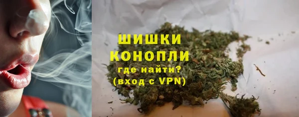 бошки Алексин