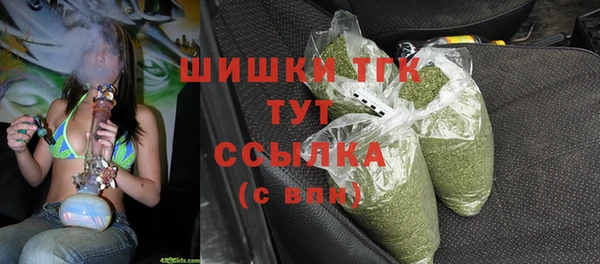 бошки Алексин